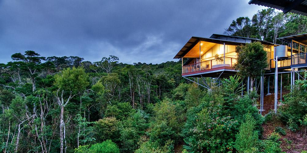 O'Reilly'S Rainforest Retreat Canungra Bagian luar foto
