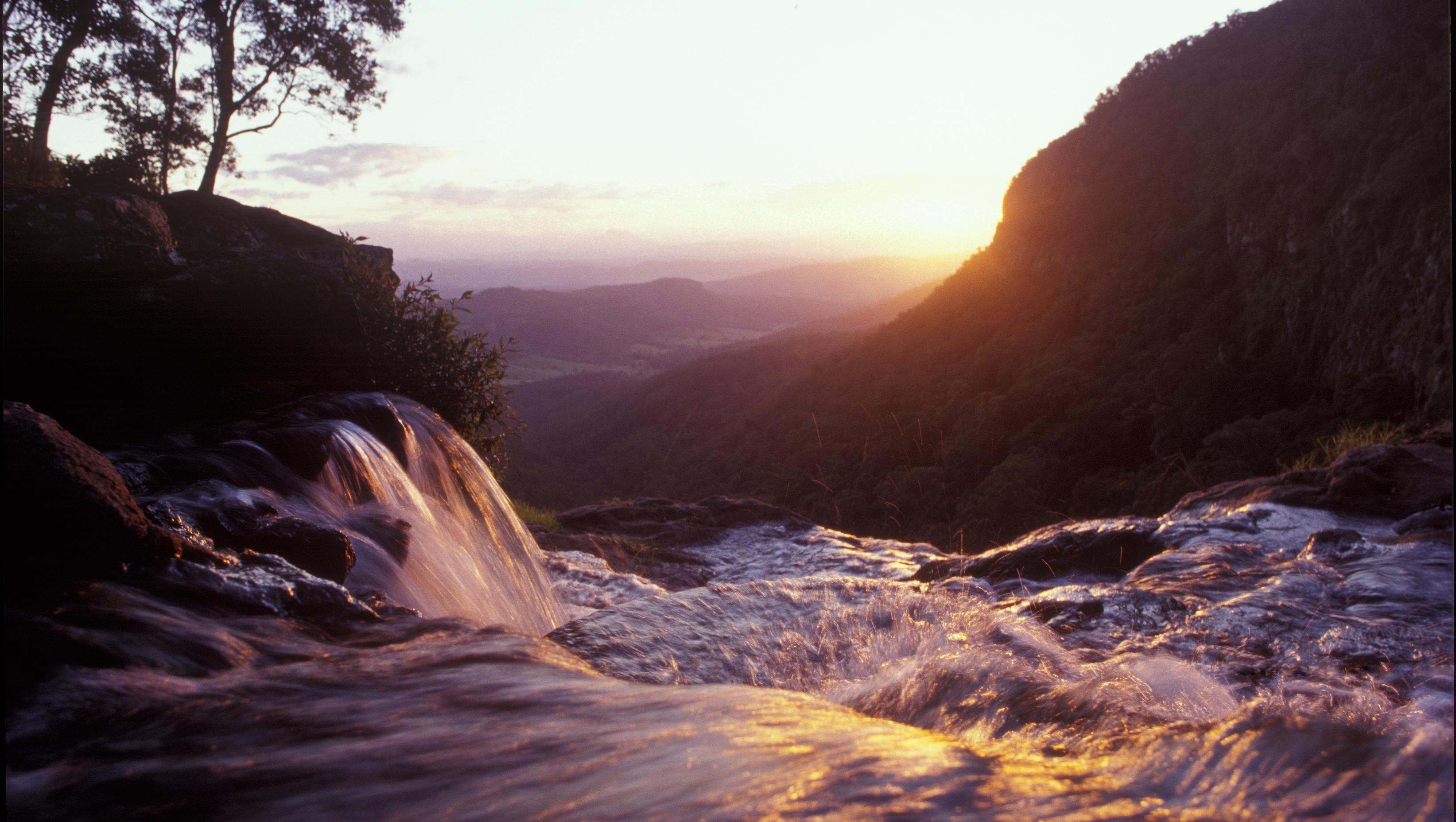 O'Reilly'S Rainforest Retreat Canungra Bagian luar foto