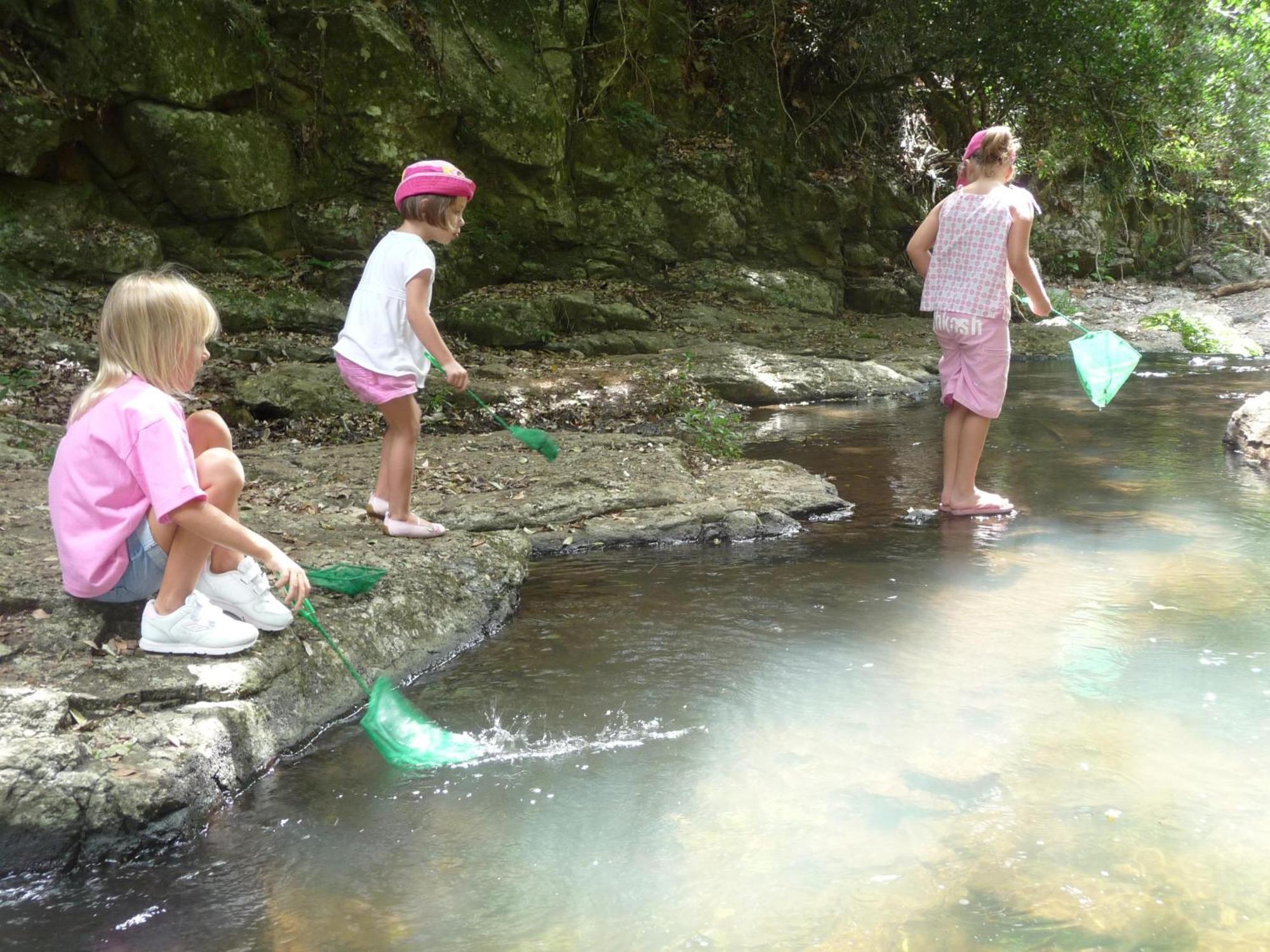O'Reilly'S Rainforest Retreat Canungra Bagian luar foto