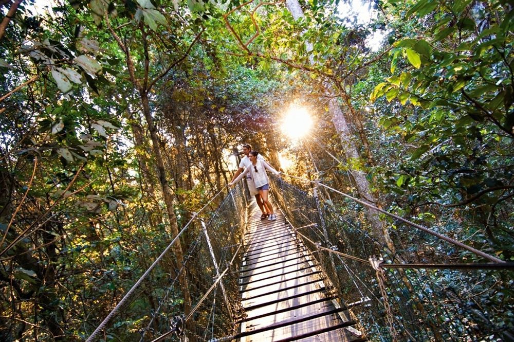 O'Reilly'S Rainforest Retreat Canungra Bagian luar foto