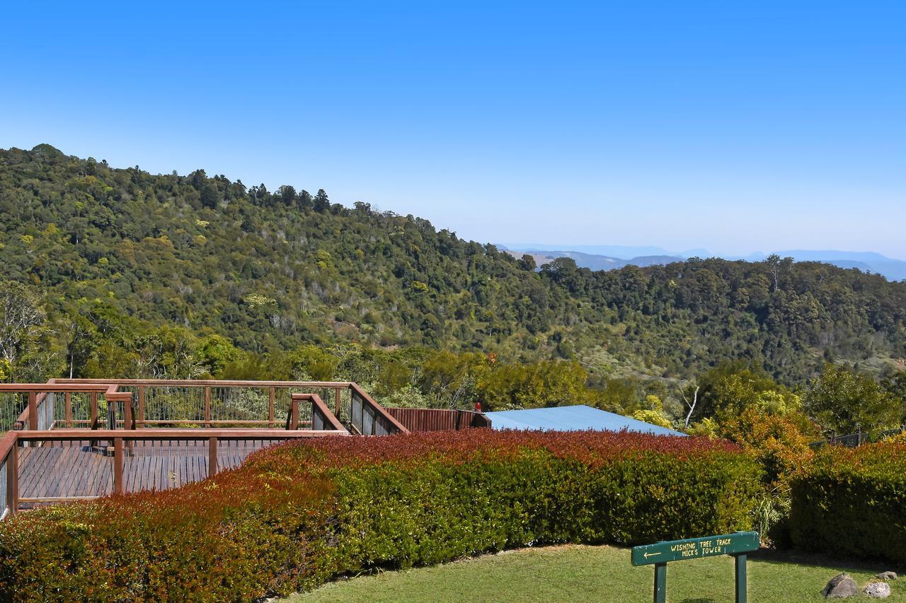 O'Reilly'S Rainforest Retreat Canungra Bagian luar foto
