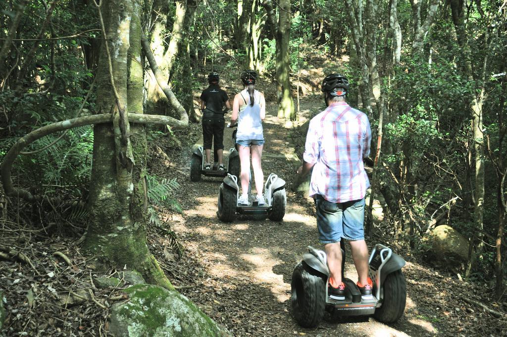 O'Reilly'S Rainforest Retreat Canungra Bagian luar foto