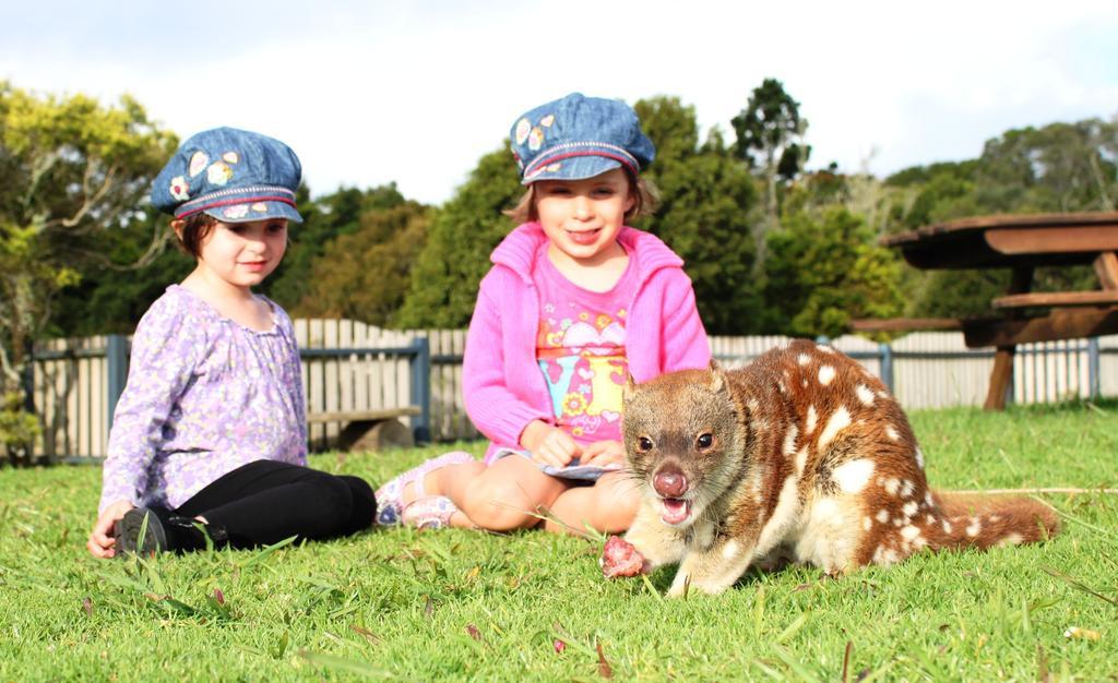 O'Reilly'S Rainforest Retreat Canungra Bagian luar foto