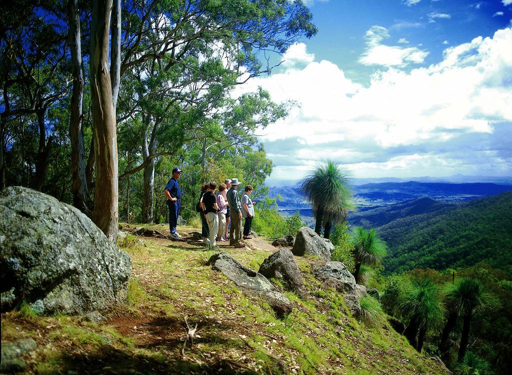 O'Reilly'S Rainforest Retreat Canungra Bagian luar foto