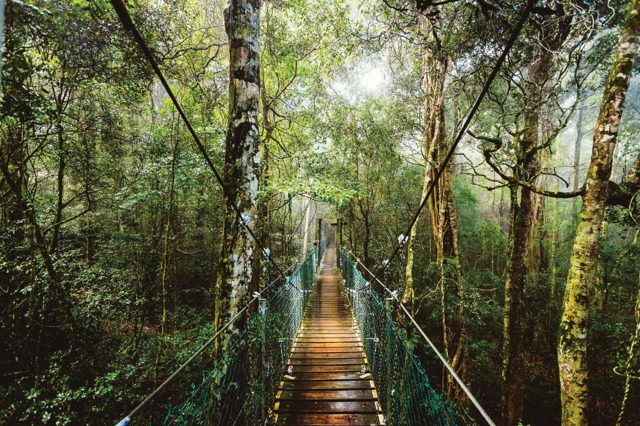 O'Reilly'S Rainforest Retreat Canungra Bagian luar foto